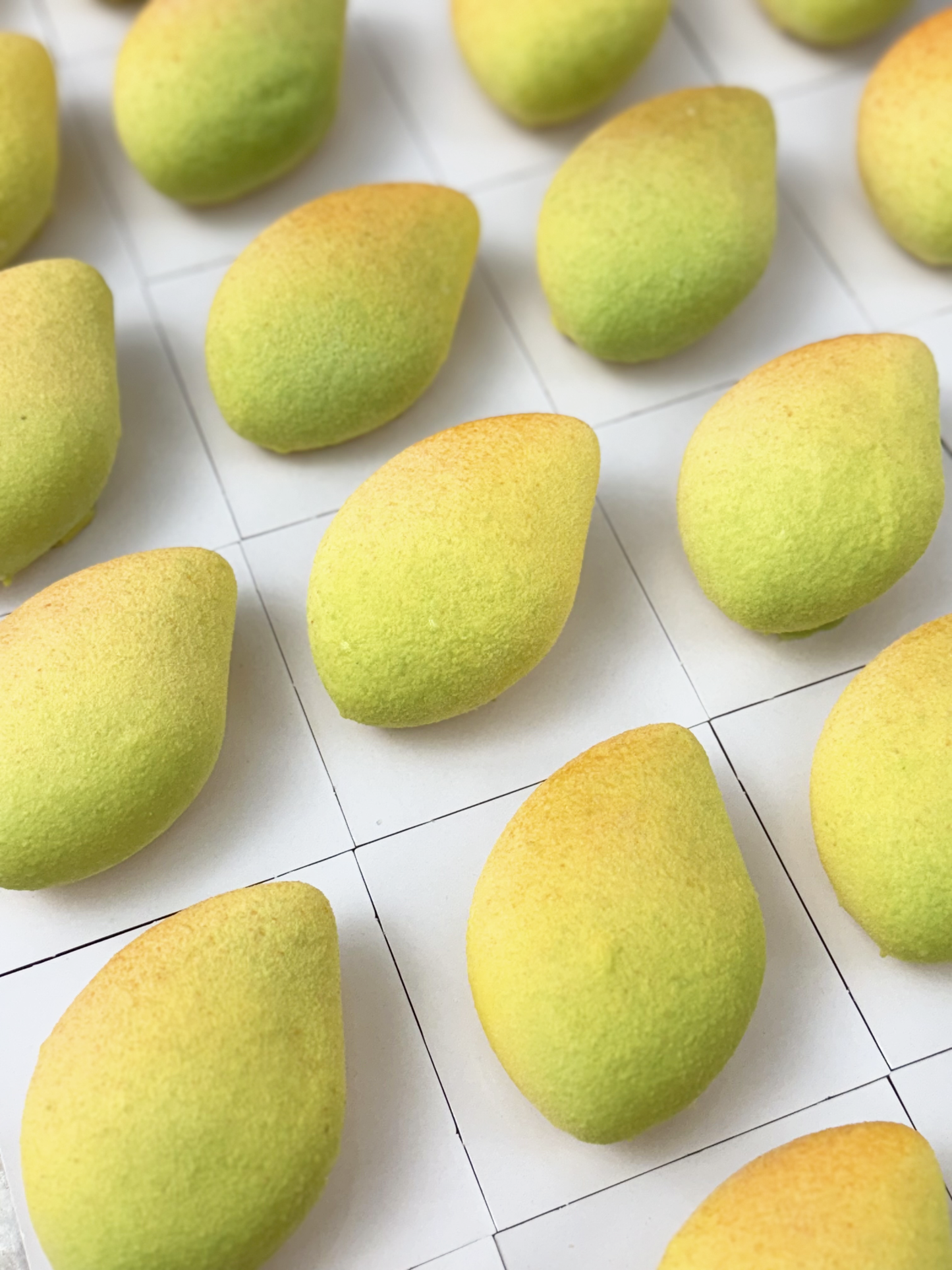 Mango-Törtchen Silikonform