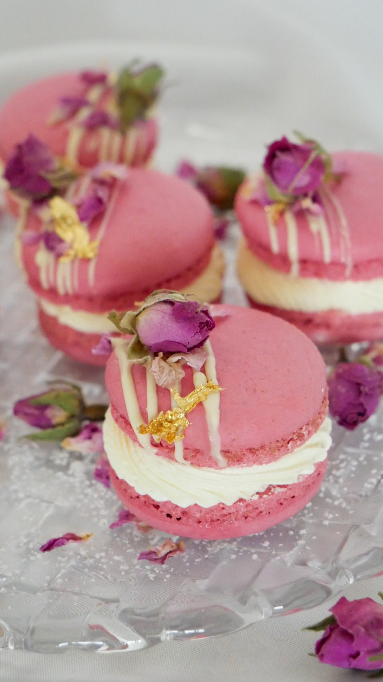 Bremen Herbstzeit 03.10 - 05.10.25 Macarons - Workshop