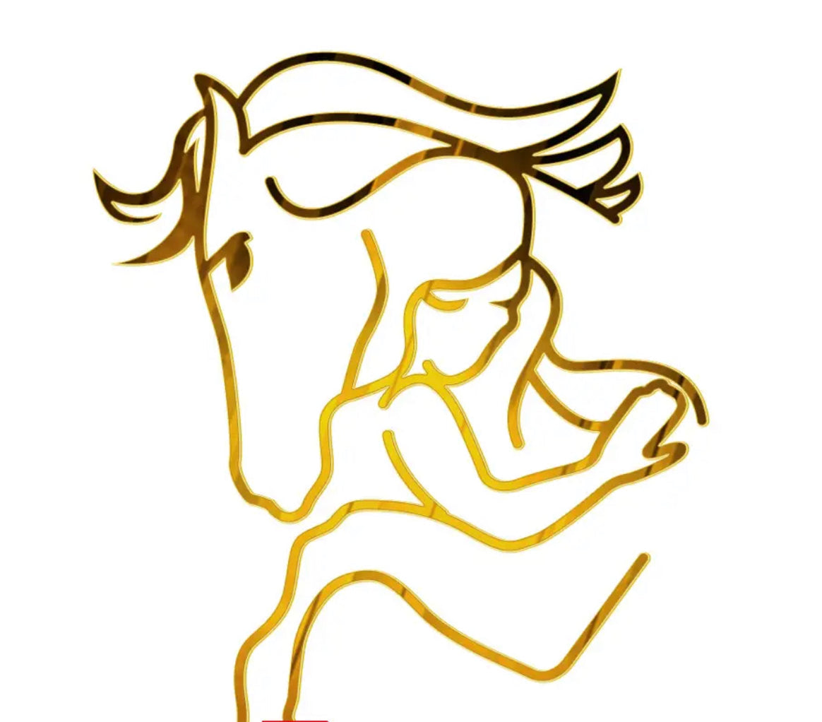 Cake Toppers Girl with a horse