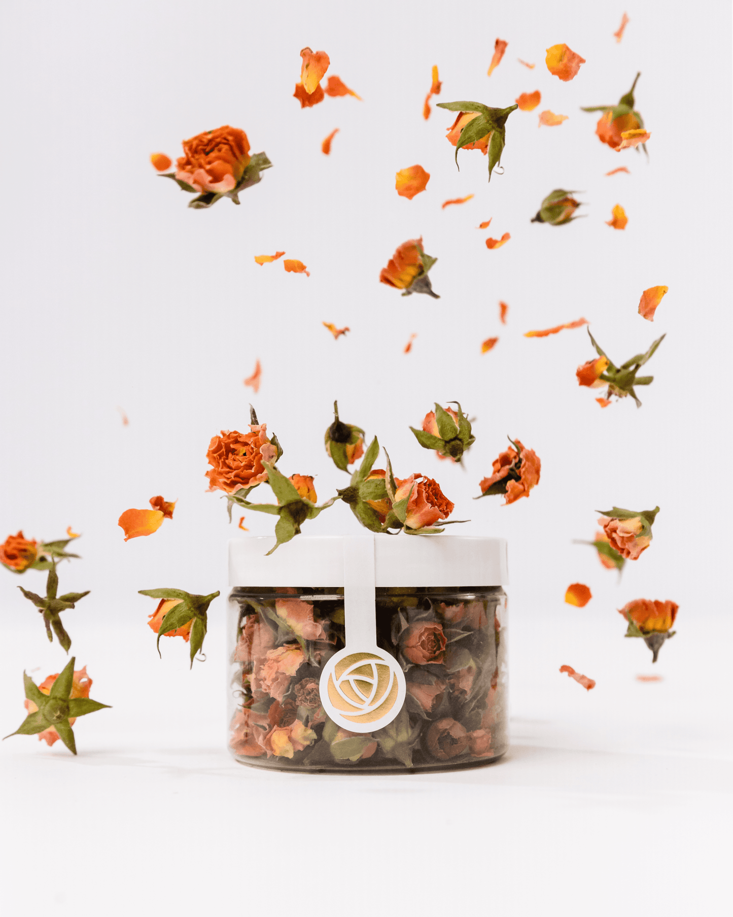 Rosenblüten | Home