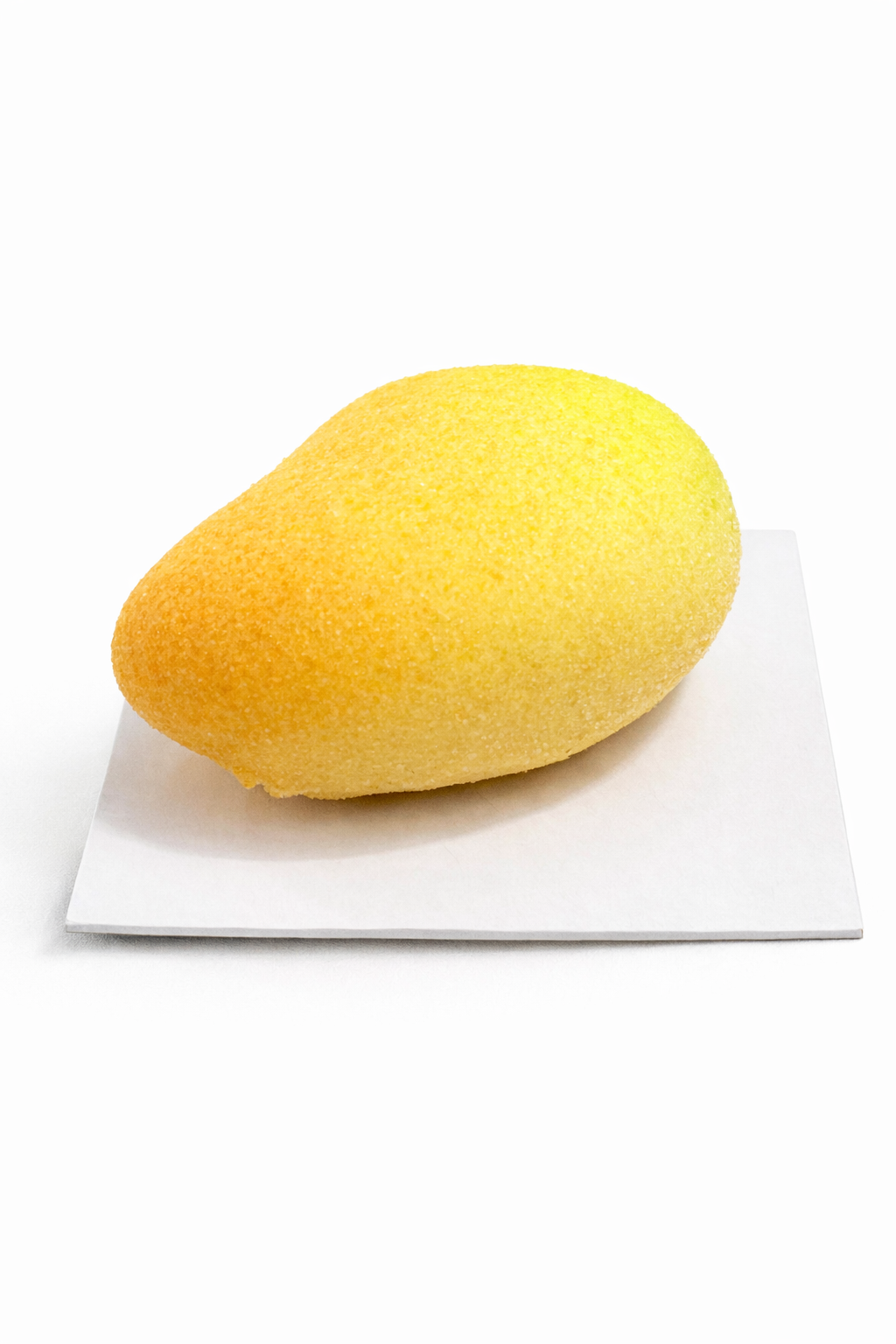 Mango-Törtchen Silikonform